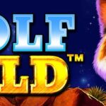 Wolf Gold: Review and How to Wn in This Slot